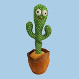 Cactus bailarín 🌵 - Globo Mercado
