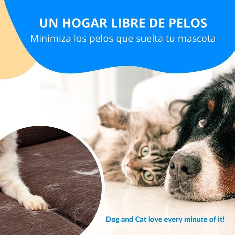 PetComb - Cepillo Para Mascota Premium - Envío Gratis